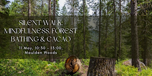 Immersive Silent Forest Bathing Walk with Meditations & Ceremonial Cacao primary image