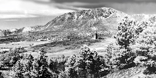 Hauptbild für Palmer Lake Historical Society presents U.S. Forest Service Monument Nursery Book Launch