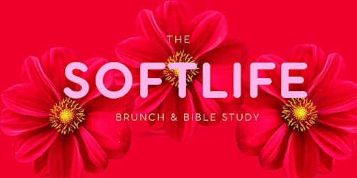 Primaire afbeelding van The Soft Life Brunch & Bible Study