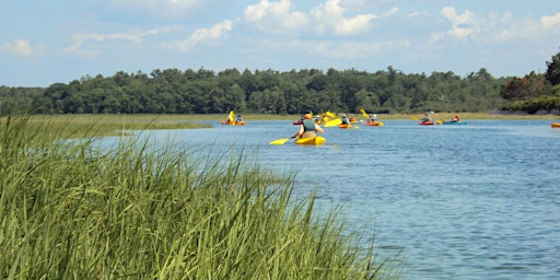 Kayaking on the Little River Estuary  primärbild