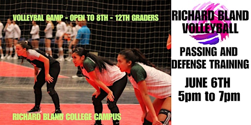 Imagen principal de Volleyball Passing & Defense Training