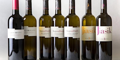 Primaire afbeelding van Wine Tasting with Borgo San Daniele