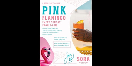 Imagem principal do evento Pink Flamingo