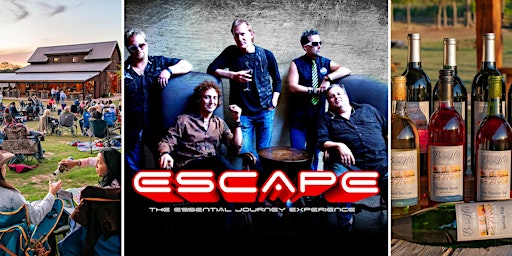 Journey covered by Escape / Texas wine / Anna, TX