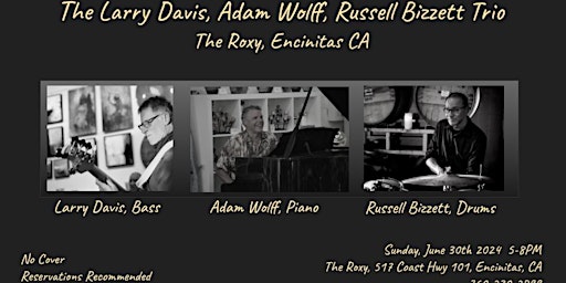 Hauptbild für The Larry Davis Vernec, Adam Wolff, Russell Bizzett Trio