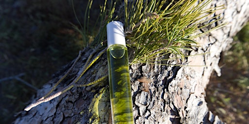 Hauptbild für Pilchuck Wilderness Crafts: Natural Perfumery