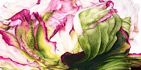 Watercolor Botanicals: Springtime Florals