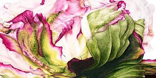 Primaire afbeelding van Watercolor Botanicals: Springtime Florals