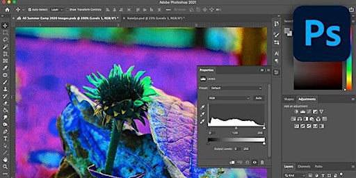 Learn To Use: Photoshop