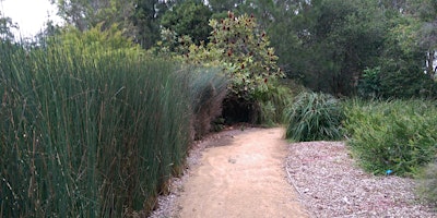 Imagem principal do evento Walking in the Gardens: Endangered Plant Trail
