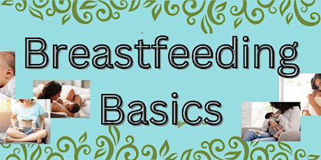 Immagine principale di Breastfeeding Basics 