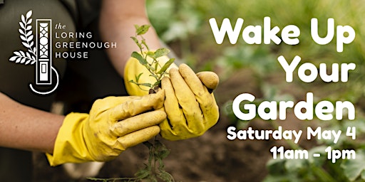 Imagen principal de Gardening Together - Wake Up Your Garden
