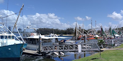 Gladstone Commercial Fishing Industry Networking Event primary image