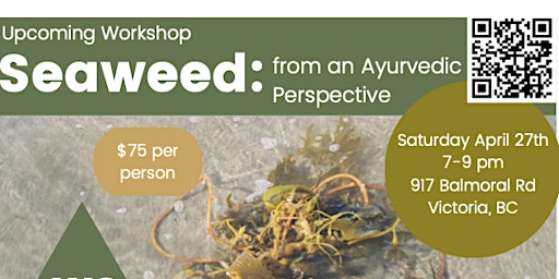 Primaire afbeelding van Seaweed : from an Ayurvedic Perspective