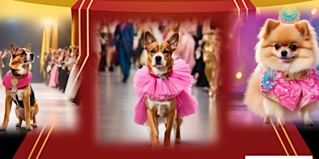 Unleashed Elegance Doggy Fashion Show: