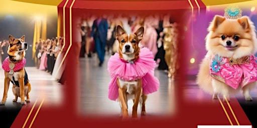 Imagem principal do evento Unleashed Elegance Doggy Fashion Show: