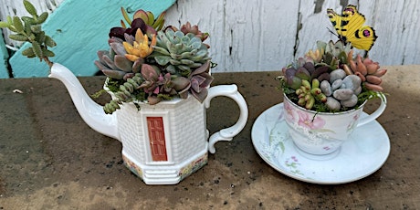 Mother’s Day Succulent Tea Party Workshop