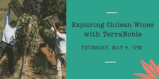 Exploring Chilean Wines with TerraNoble primary image