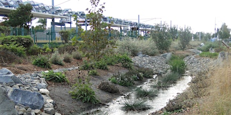 Free Event: In-Person Tour of the Westwood Neighborhood Greenway