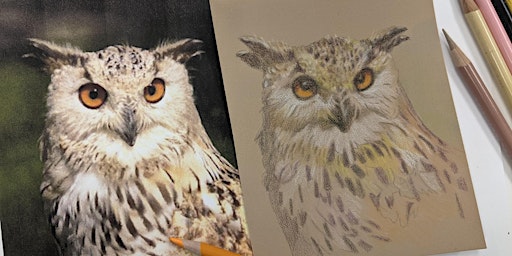 Primaire afbeelding van Color Pencil Techniques Birds $40 BYO Workshop