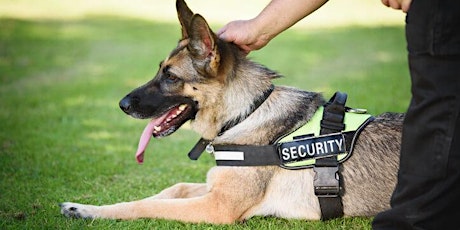Security Dog Handler Course - Townsville