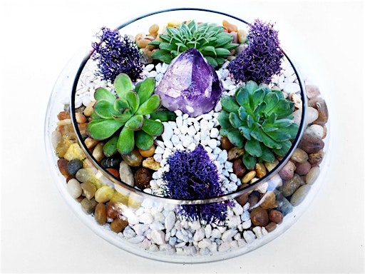 Plant Nite: Make a Succulent Terrarium primary image