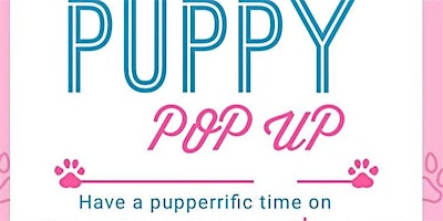 Imagem principal do evento Pet Shop Pop Up Event