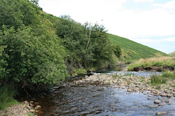 Geology of the Upper Coquet Valley primary image