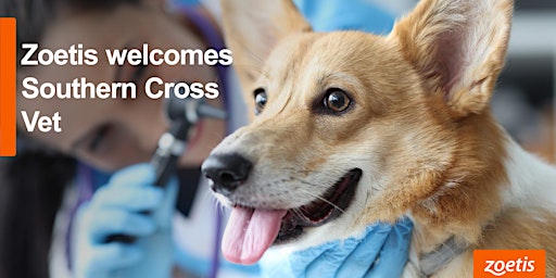 Zoetis Welcomes Southern Cross Vet primary image