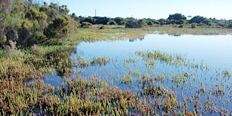 Perrin / Deep Winter Walk on Country, along Altona Coastal Park