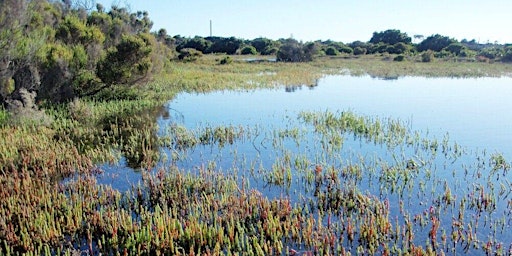 Imagem principal do evento Perrin / Deep Winter Walk on Country, along Altona Coastal Park