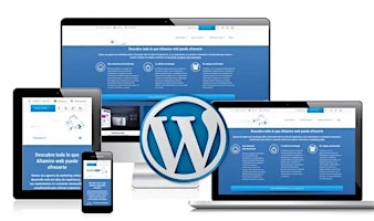 WordPress website designer in Tacoma, Washington primary image