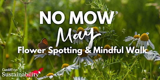 Imagem principal do evento Flower Spotting & Mindful Walk (No Mow May)