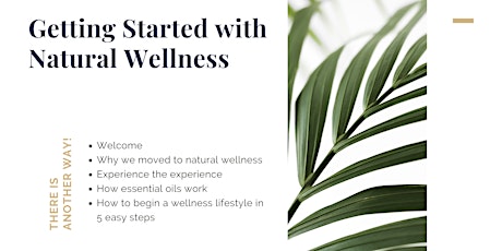 Getting started with natural wellness