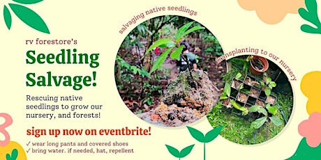 Seedling Salvage @Chestnut Nature Park