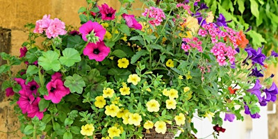 Immagine principale di Sip and create a hanging basket to delight the senses 