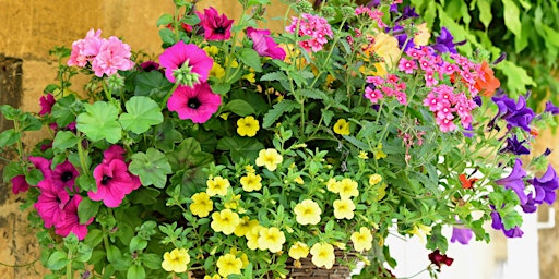 Hauptbild für Sip and create a hanging basket to delight the senses