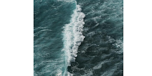 Primaire afbeelding van IOP Talk | The fluid physics of tidal energy generation
