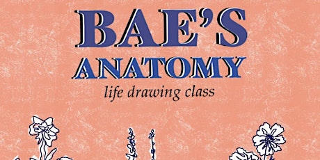 Bae's Anatomy