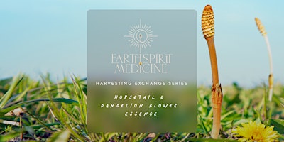 Harvesting Exchange Series: Horsetail &  Dandelion Flower Essence primary image