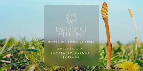 Harvesting Exchange Series: Horsetail &  Dandelion Flower Essence