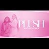 Plush Salon and Spa's Logo