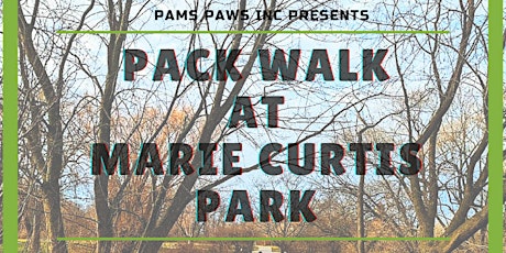 Pack Walk at Marie Curtis Park