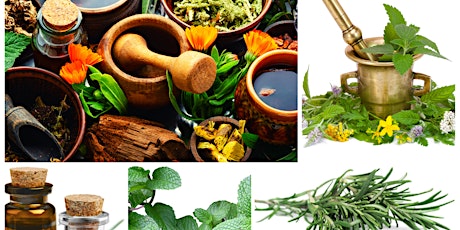 Cultivating Botanicals  - Crafting  Natural Medicines and Skincare primary image