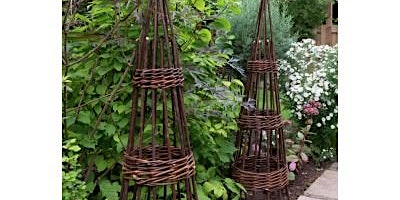 Primaire afbeelding van Weave a Garden Obelisk from WiIlow