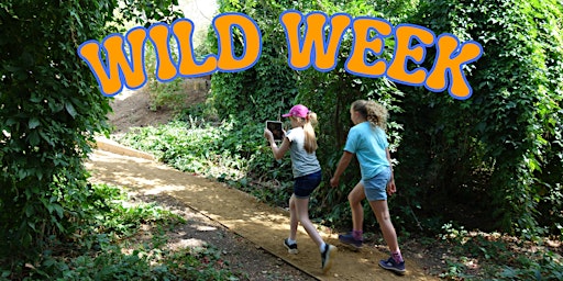 Imagem principal do evento Wild Week