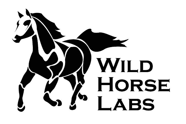 Wild Horse Labs November Investment Accelerator