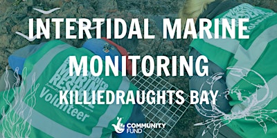 Imagen principal de Intertidal Marine Monitoring - Killiedraughts Bay