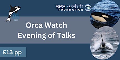 Orca Watch Evening of Talks
