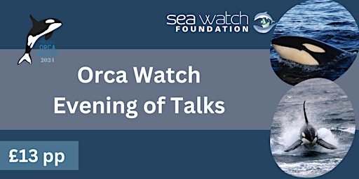 Imagem principal do evento Orca Watch Evening of Talks